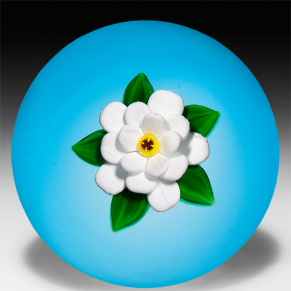 Bobbi Banford single white flower on translucent blue ground paperweight. by Bobbi Banford