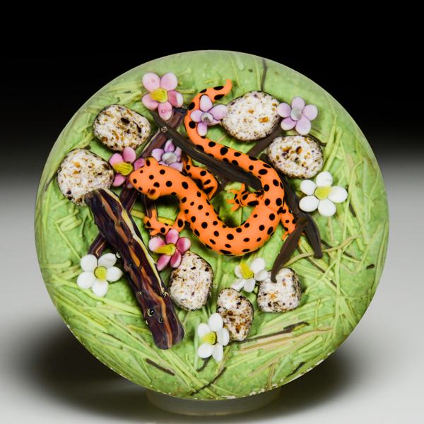 Clinton Smith 2023 Eastern newt paperweight. by Clinton Smith