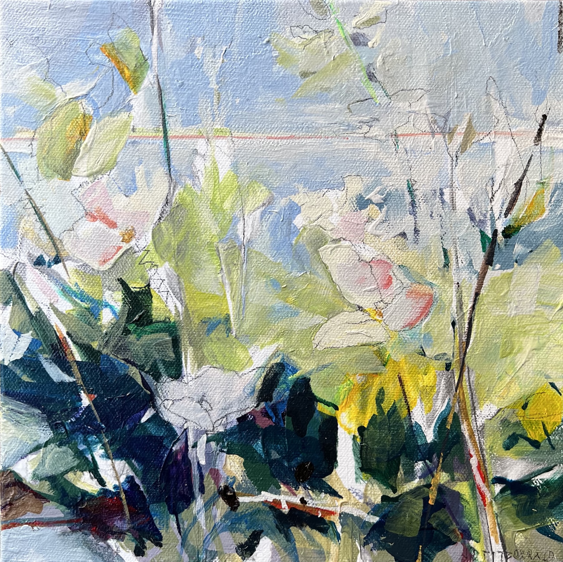Sea Roses- Industrious