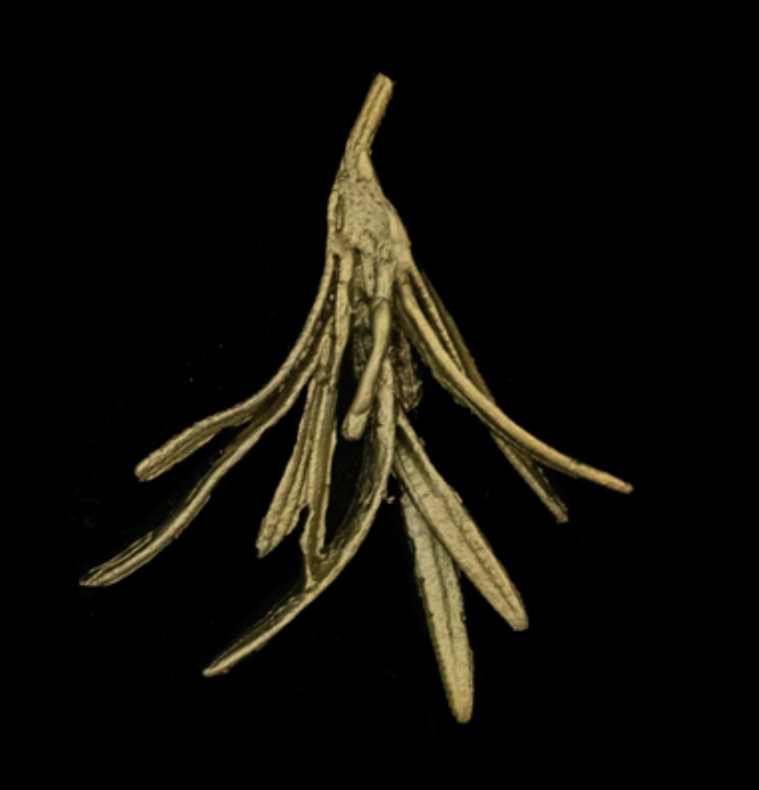 Image of Rosemary Lapel Brooch by Michael Michaud