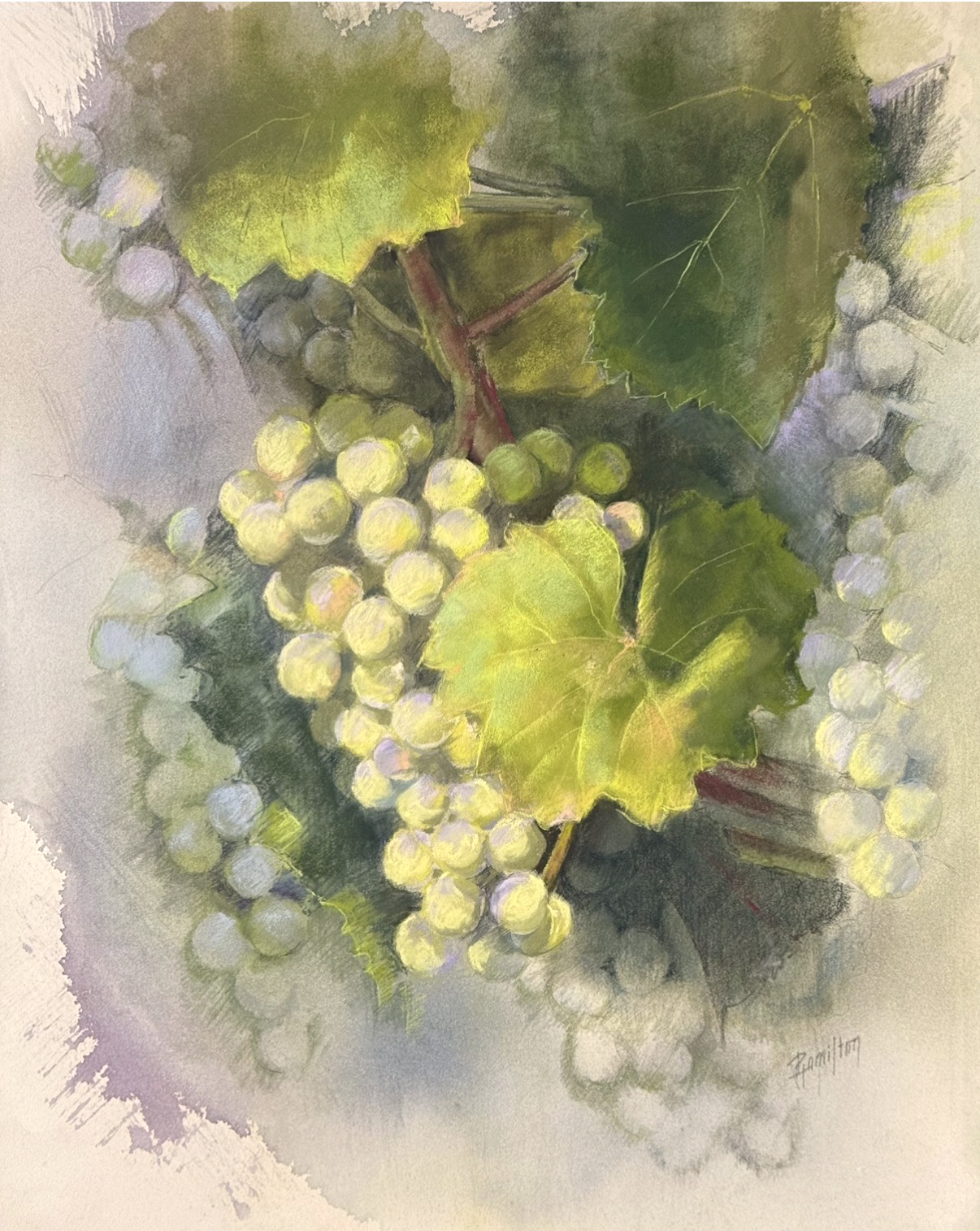 Image of On the Vine by Pamela Hamilton