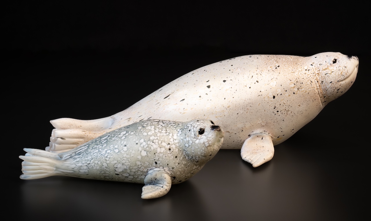 Feature image for Hawk Gallery Item