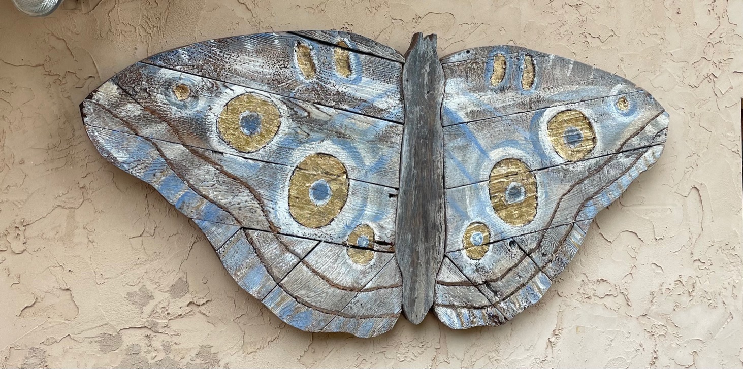 Elusive Blue and Gold Moth