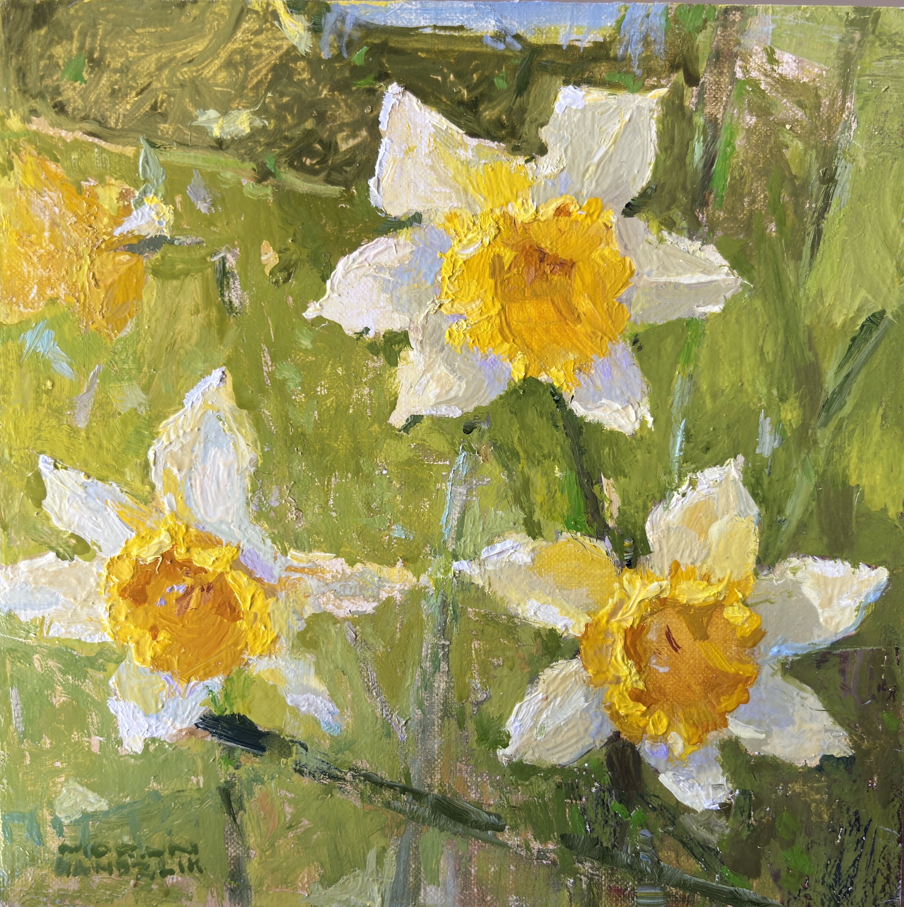 Image of Daffodil Sketch by Bethann Moran-Handzlik
