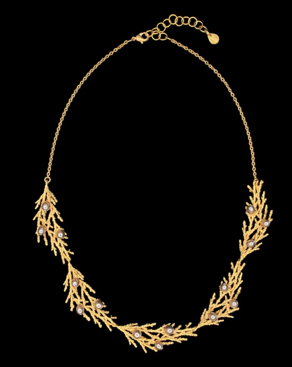 Image 2 for Juniper 16