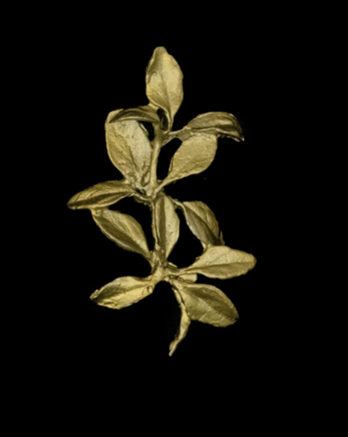 Image of Thyme Lapel Brooch by Michael Michaud