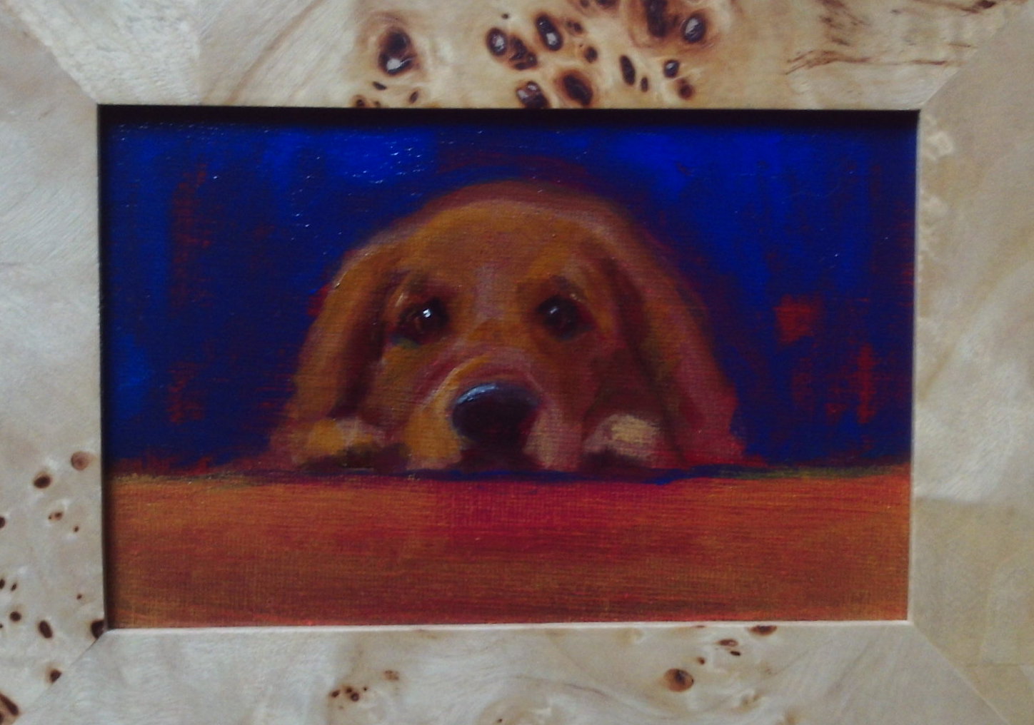 Image of Pooped by Greg Bracken