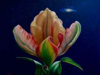 Space Tulip