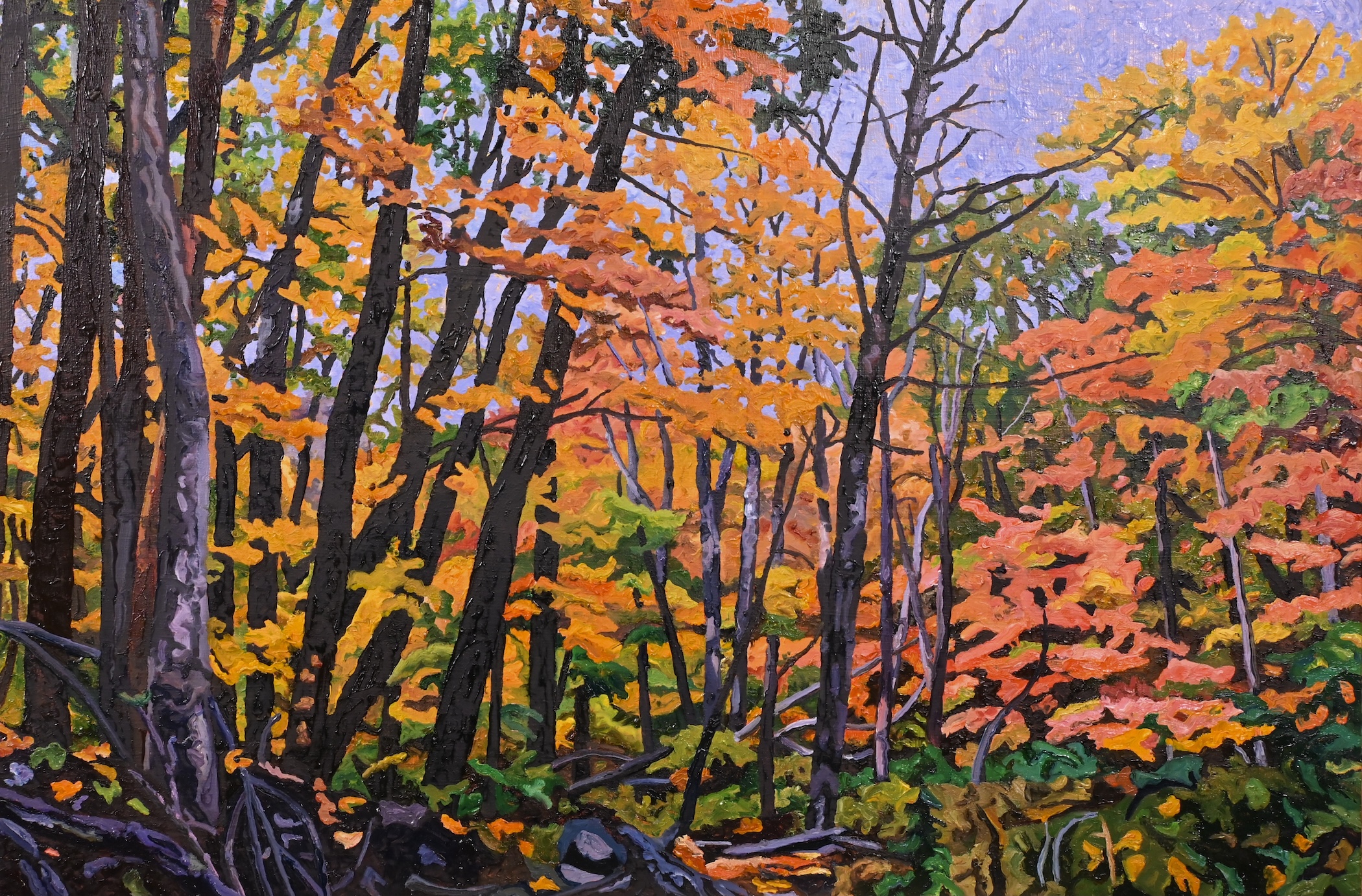 Image of Dry Creek Stand by Ken Schneider