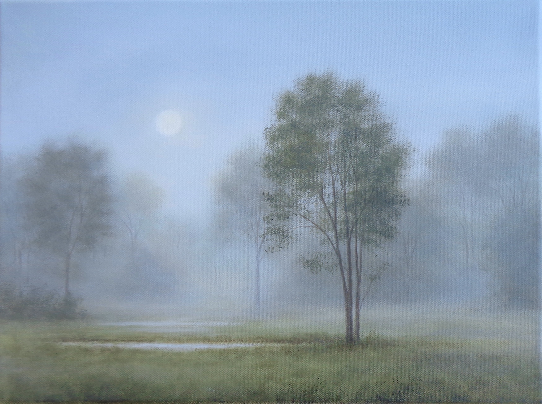 Image of Stay by Jennifer Jung