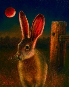 Nocturnal Hare