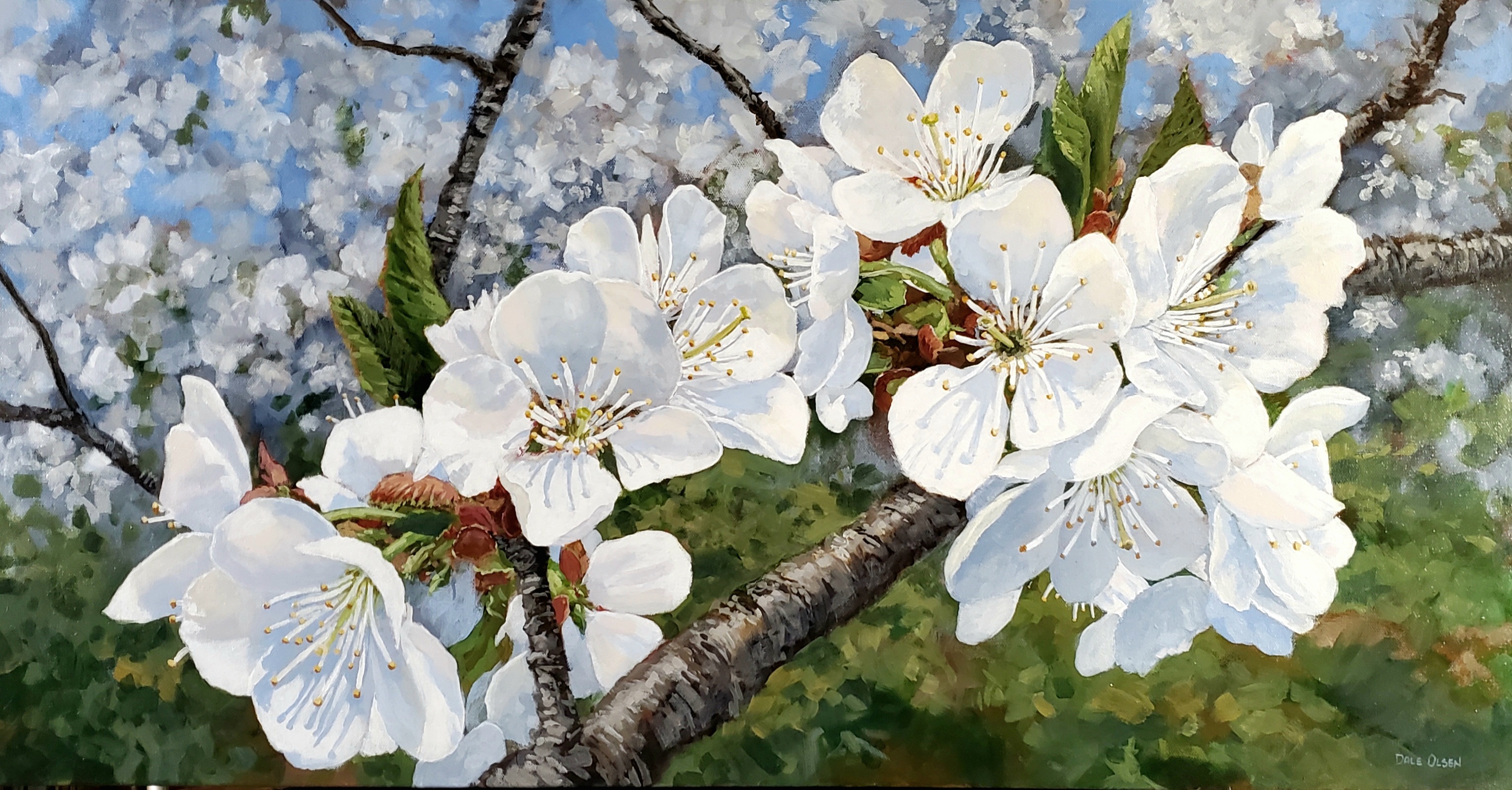 Dale Olsen