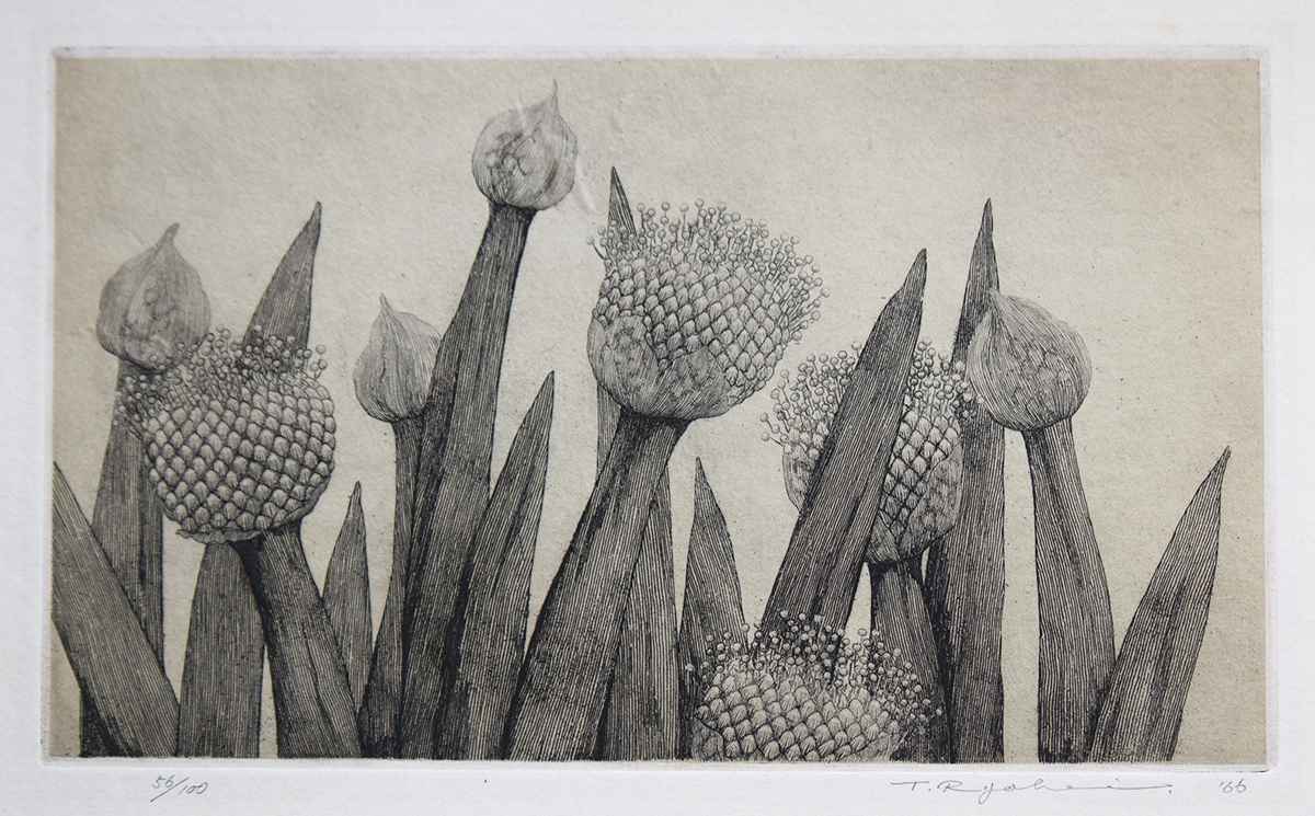 Onion Flowers No. 1 by  Ryohei Tanaka - Masterpiece Online