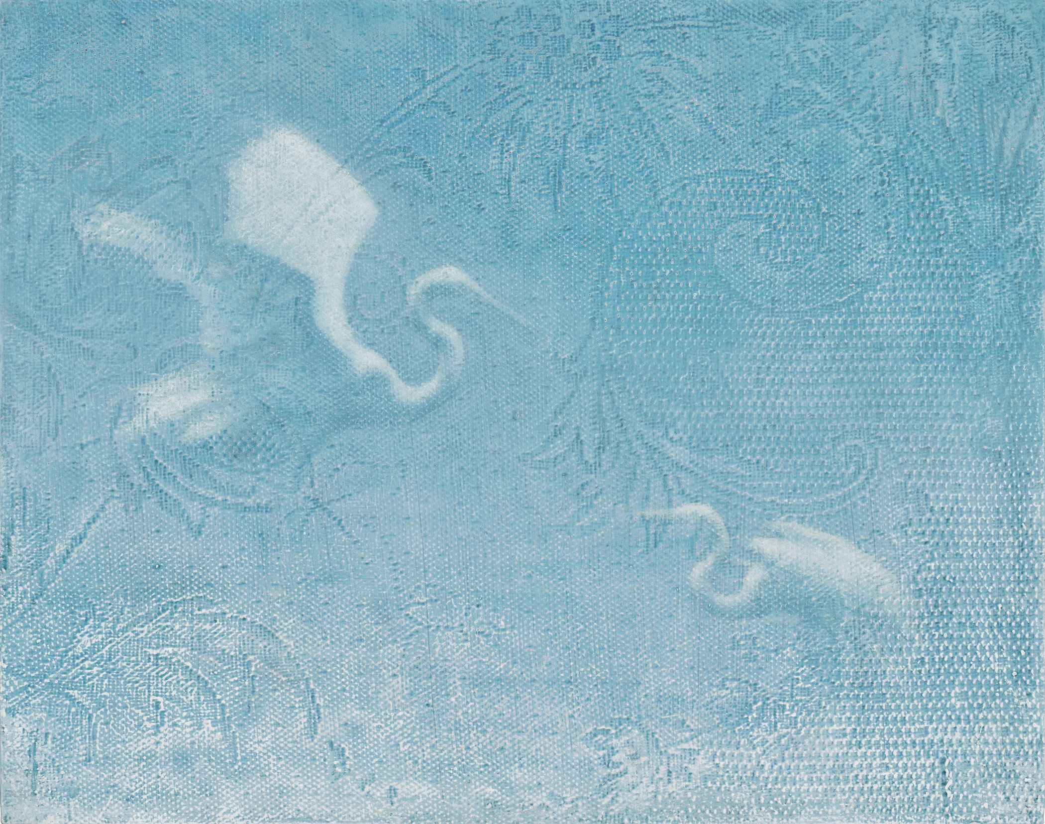 Image of Landing by Susan Hall