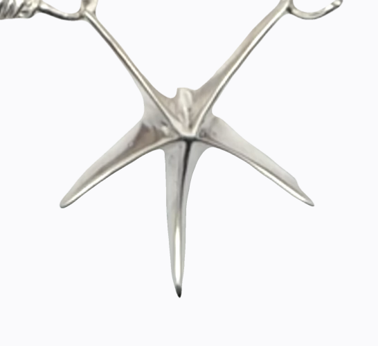 Image of Delicate Misinformed Starfish, Sterling Silver Centerpiece by Marcia McDonough