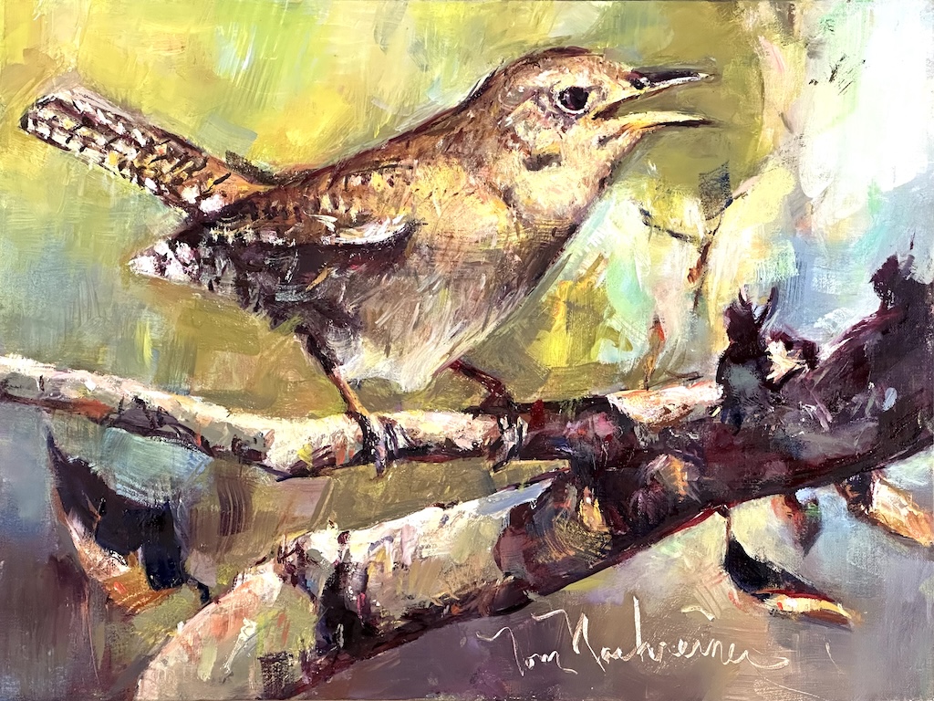 Image of House Wren Song by Tom Nachreiner