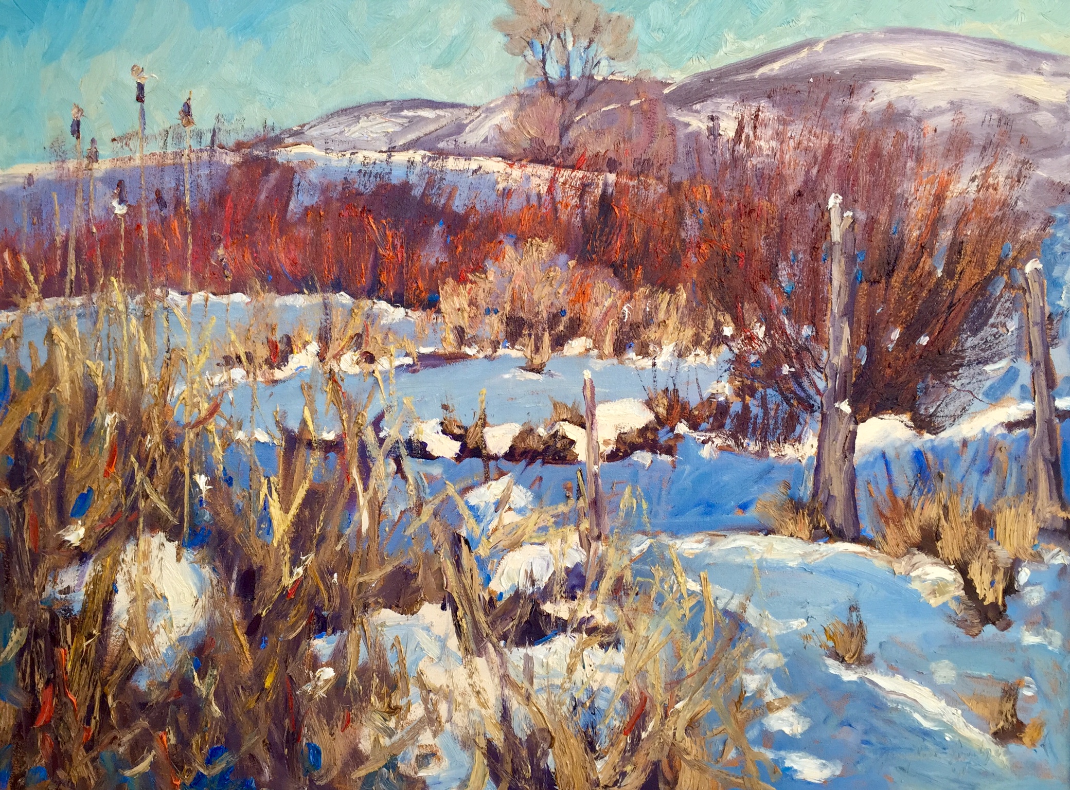 Cattails and Snow by  Graydon Foulger - Masterpiece Online