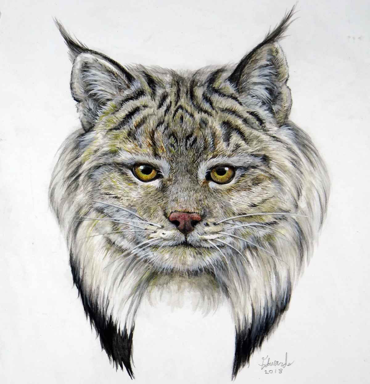 Lynx 2 by  Wallace Edwards - Masterpiece Online