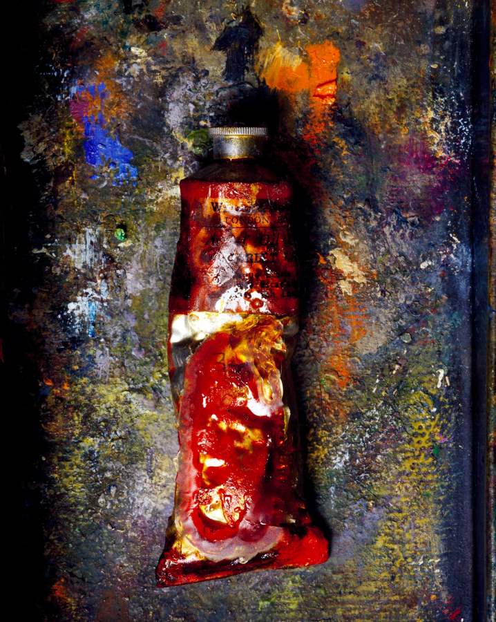 Paint Tube, Heather N... by  Alison Shaw - Masterpiece Online