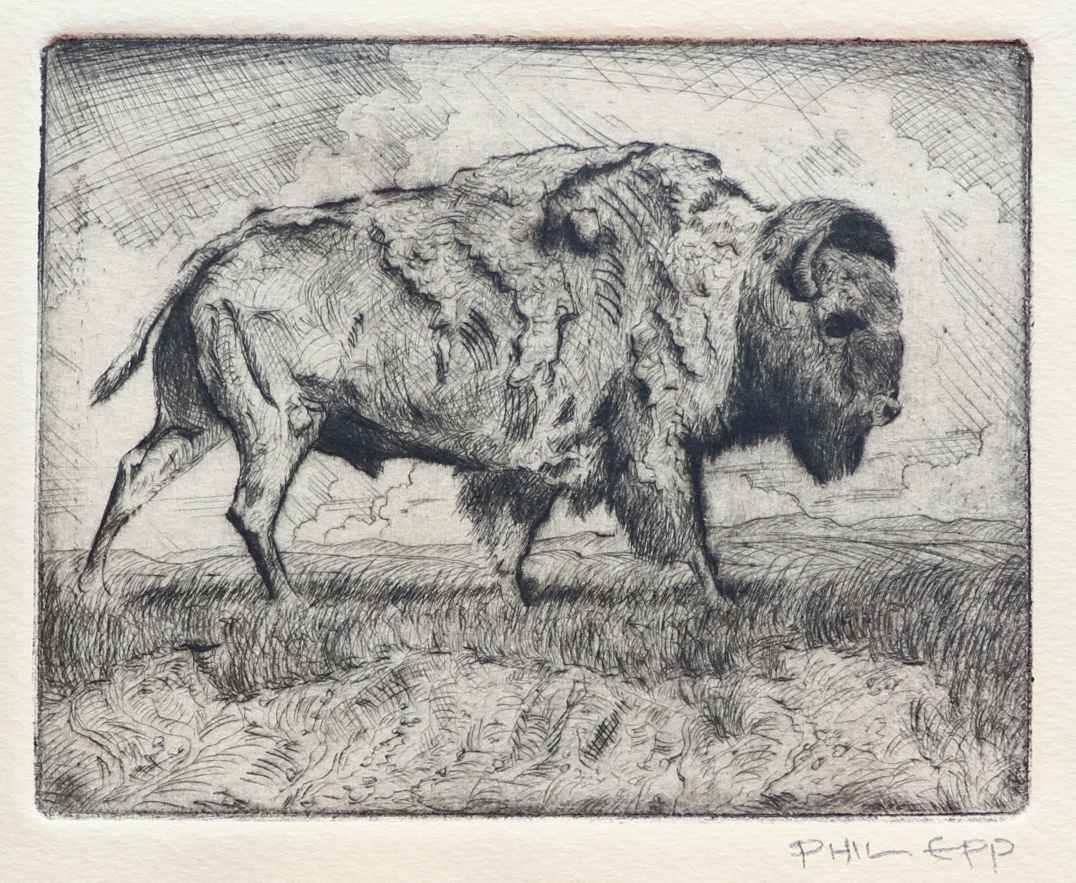 Buffalo by  Phil Epp - Masterpiece Online