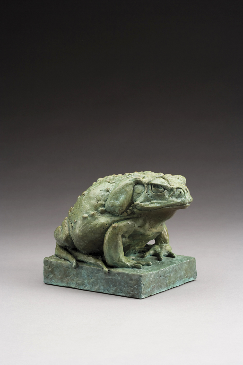 Sitting Toad by  Steve Worthington - Masterpiece Online