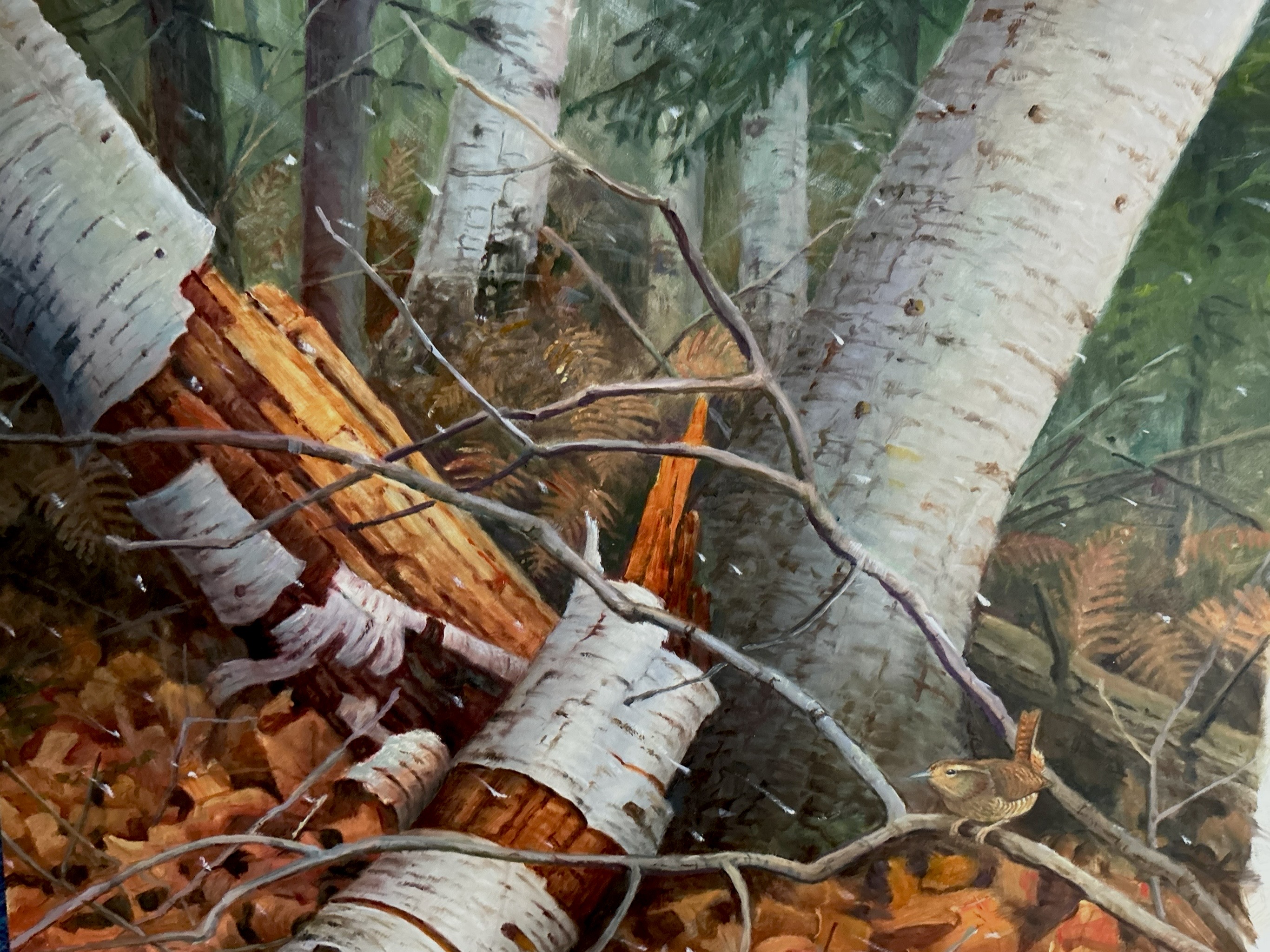 Image of And So it Starts by Jonathan Wilde