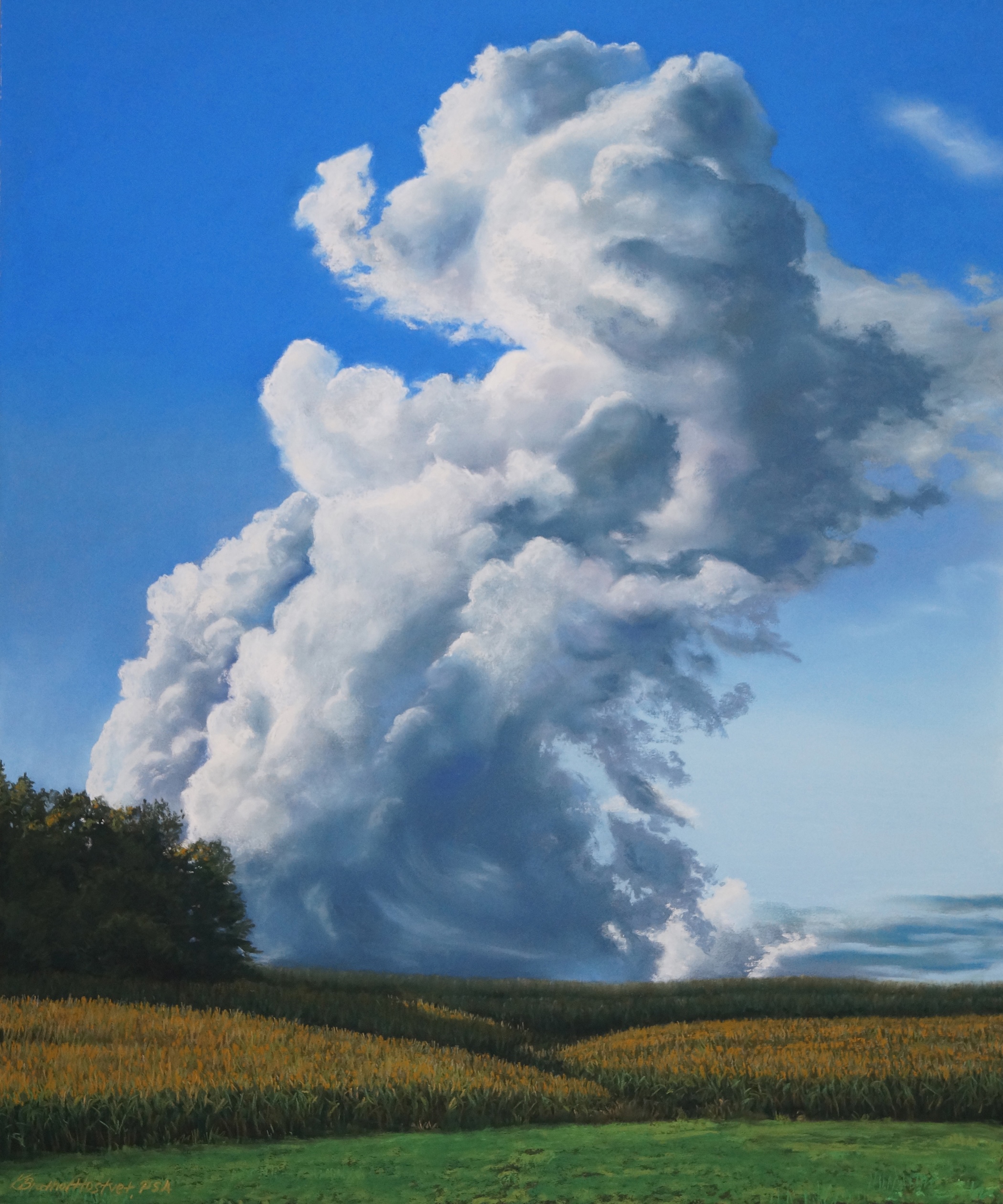 Image of Skyscraper I-Cresting by Kay Brathol-Hostvet