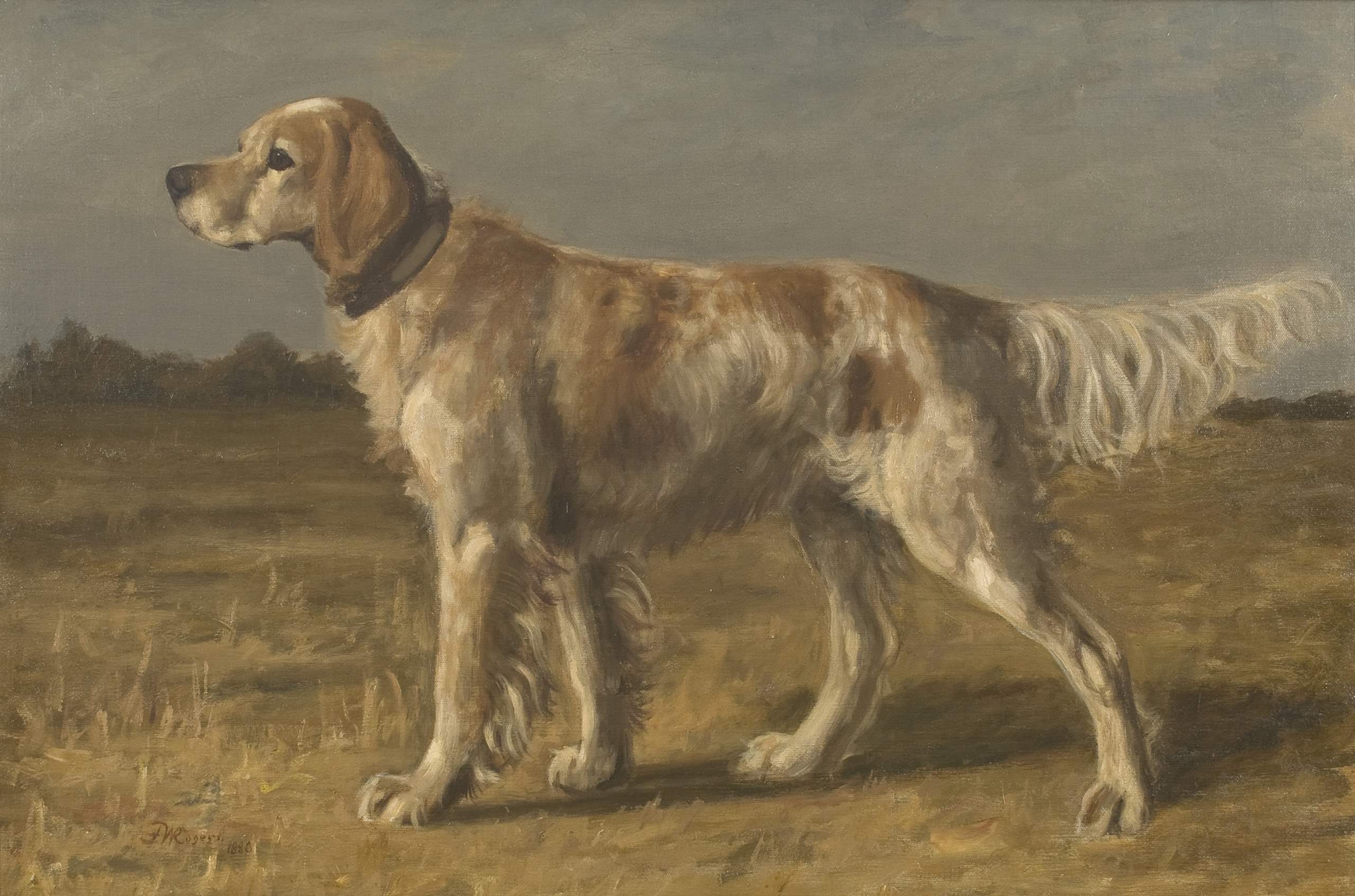 Setter in a Landscape... by  Franklin Whiting Rogers - Masterpiece Online