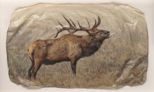 Elk Bugle by  Pete Zaluzec - Masterpiece Online