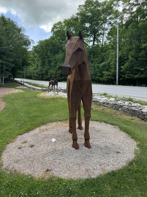 Image of Horse by Dale Rogers
