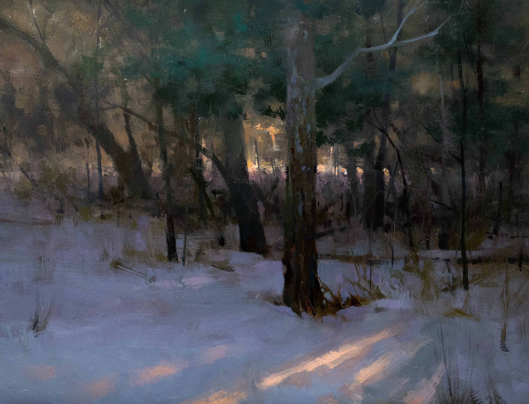Image of Winter Woods by Marc Anderson