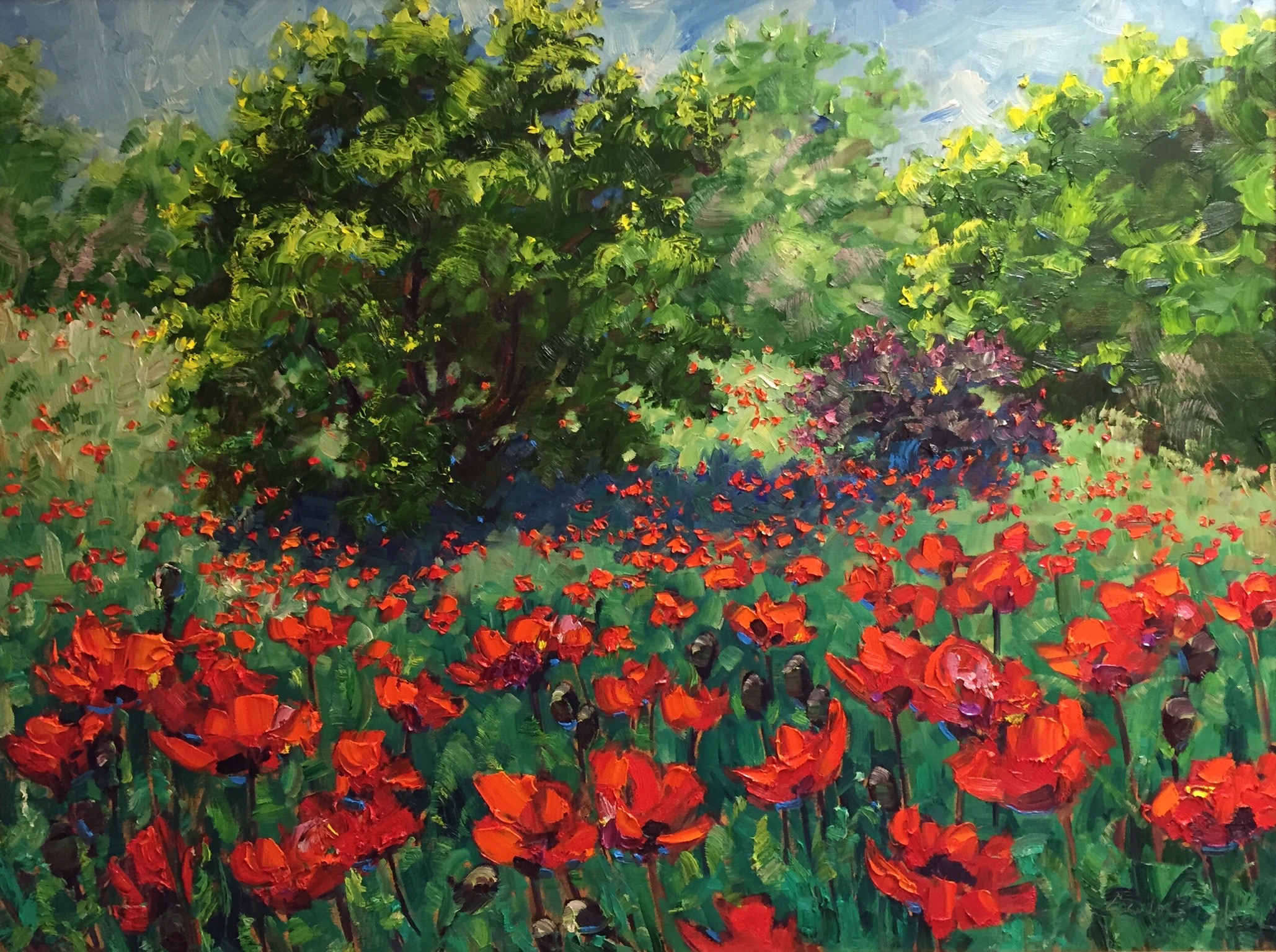 Poppy Field by  Graydon Foulger - Masterpiece Online