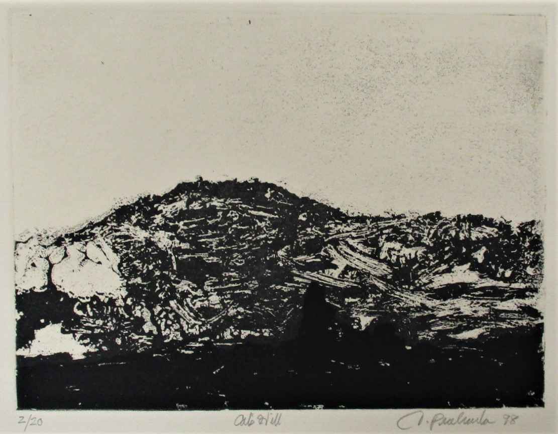 Cals Hill by  Thomas Prochaska - Masterpiece Online