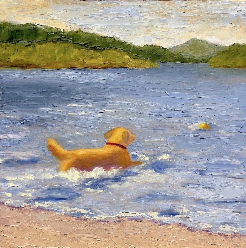 Image of Diving In by Pat Doherty