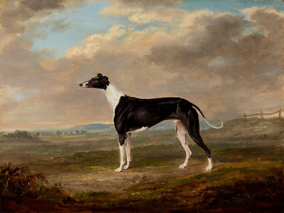 Coursing Dog, 1818 by  William Webb - Masterpiece Online