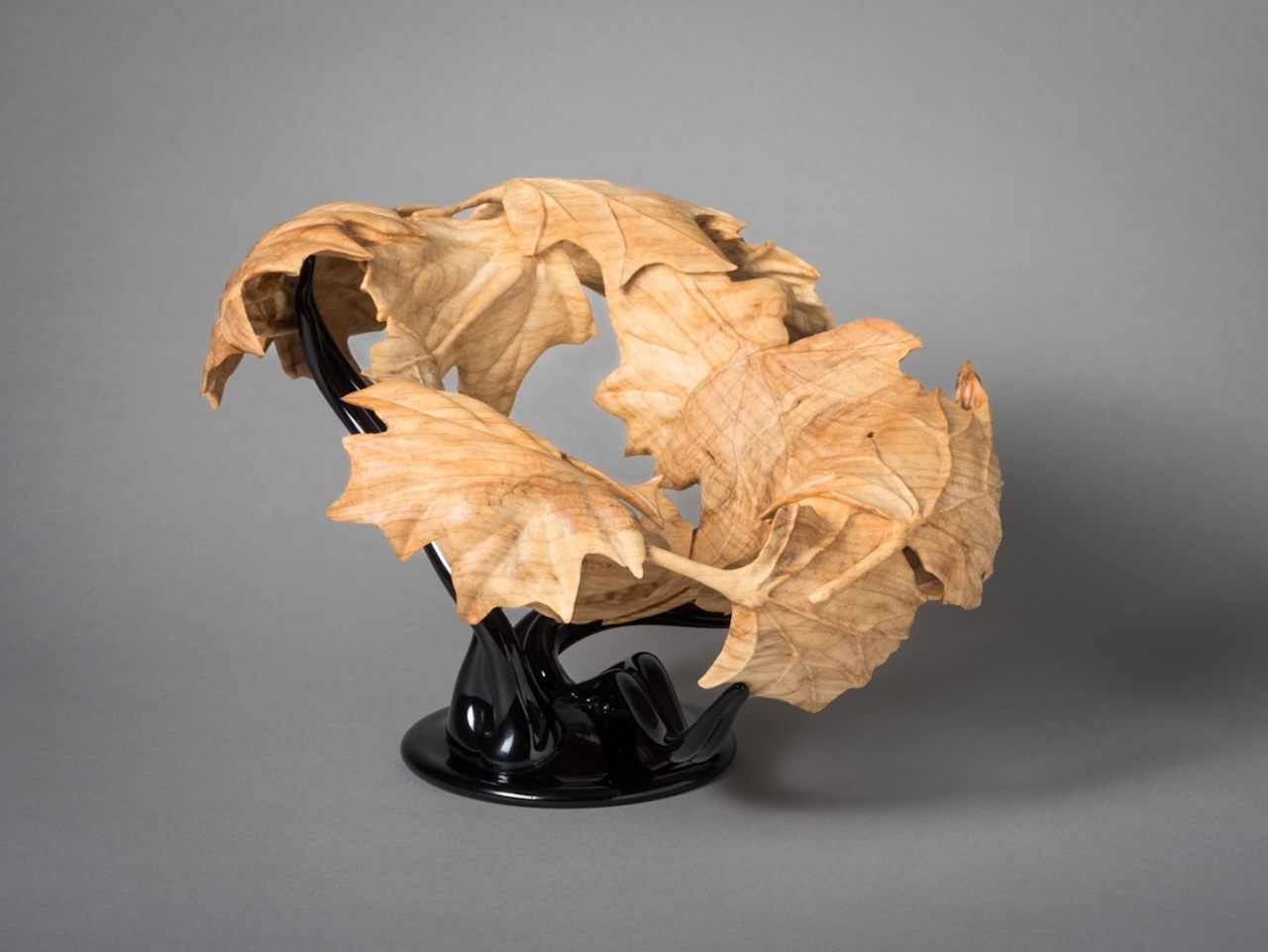 Feature image for Hawk Gallery Item