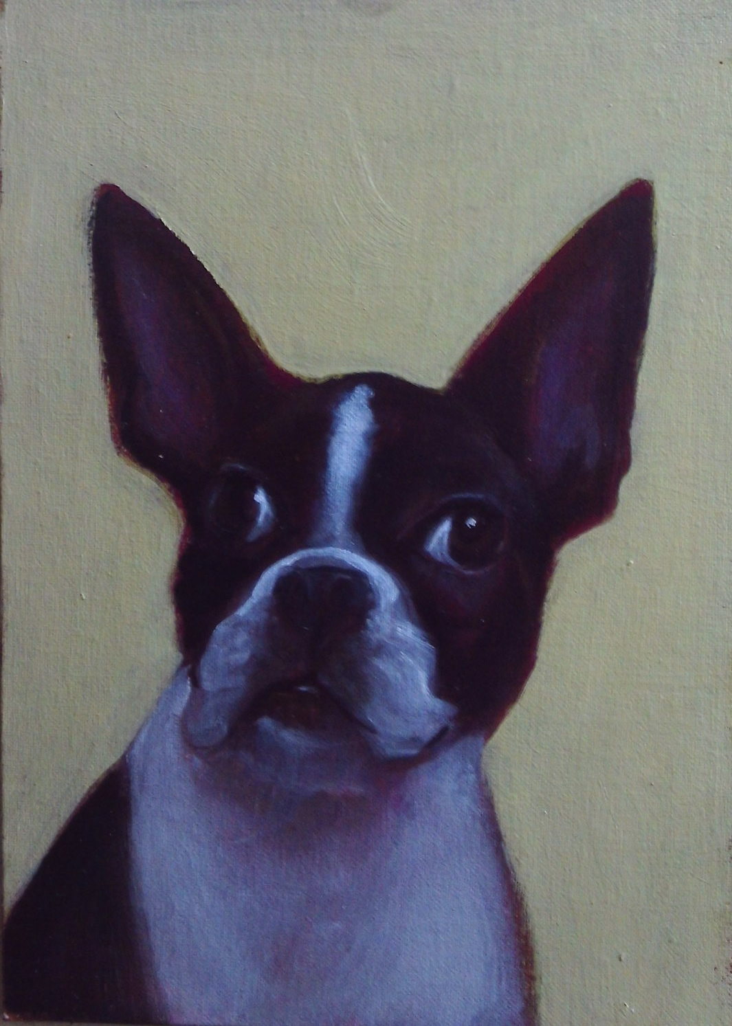 Image of Petey by Greg Bracken