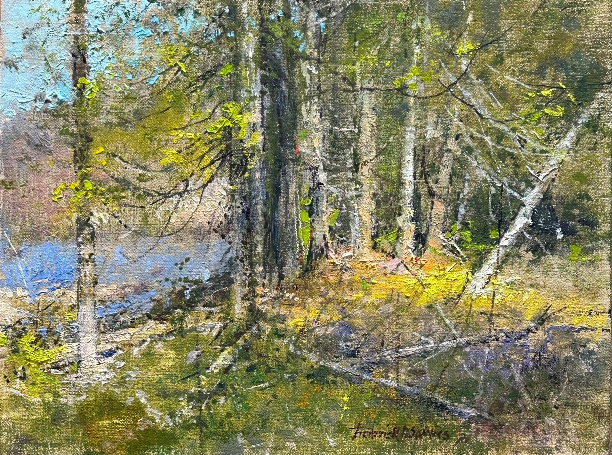 Image of Safe Place Called Hope by Frederick D. Somers