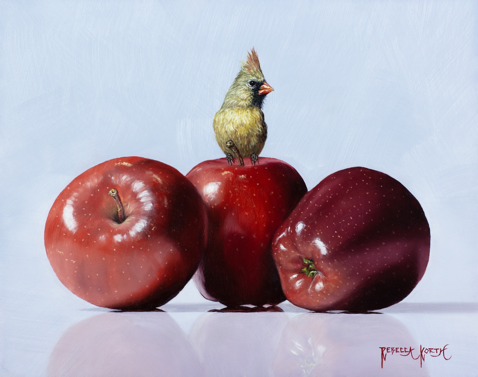 Image of Female Cardinal & Apples by Rebecca Korth