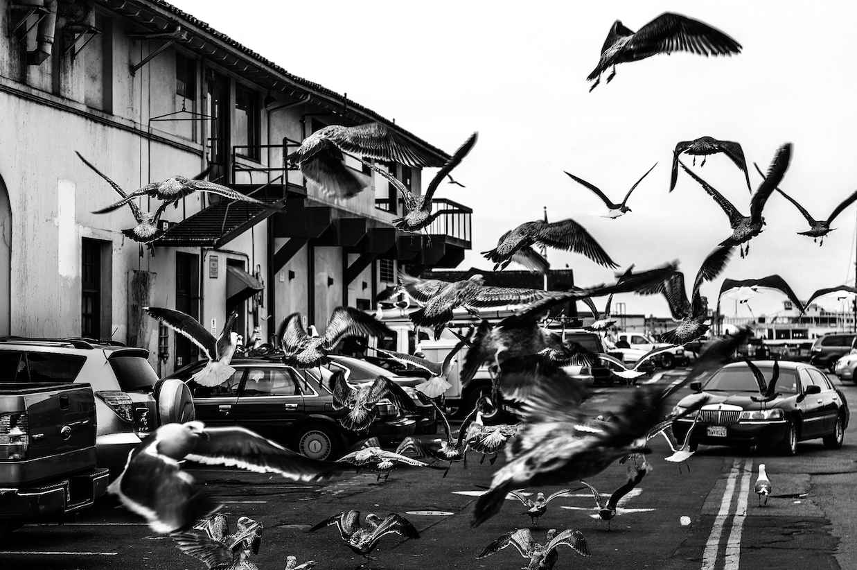 Attack by  Juan Carlos Fresnadillo - Masterpiece Online