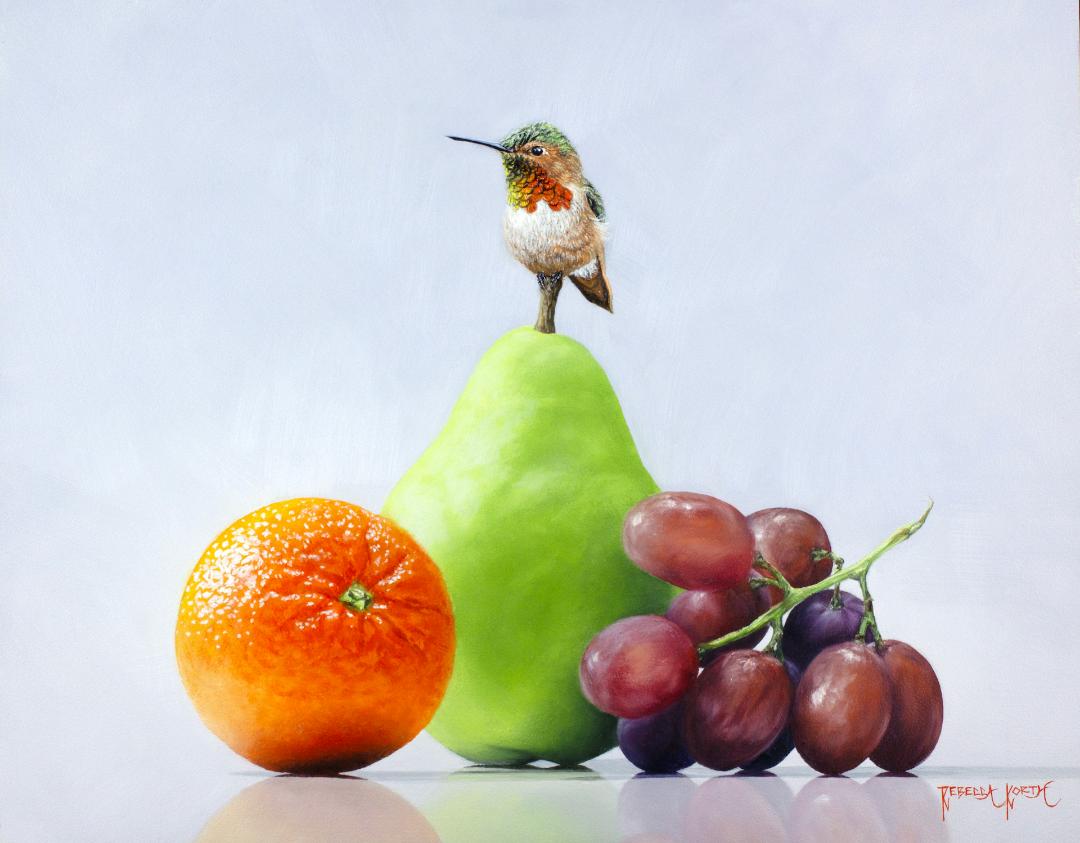 Image for Rufous Hummingbird & Fruit