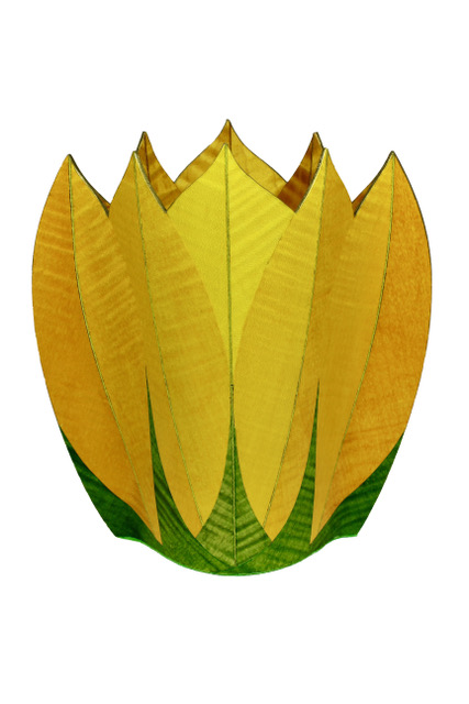 Image of Zuccini Flower Fiddleback Sycamore & Maple by Rod Townsend