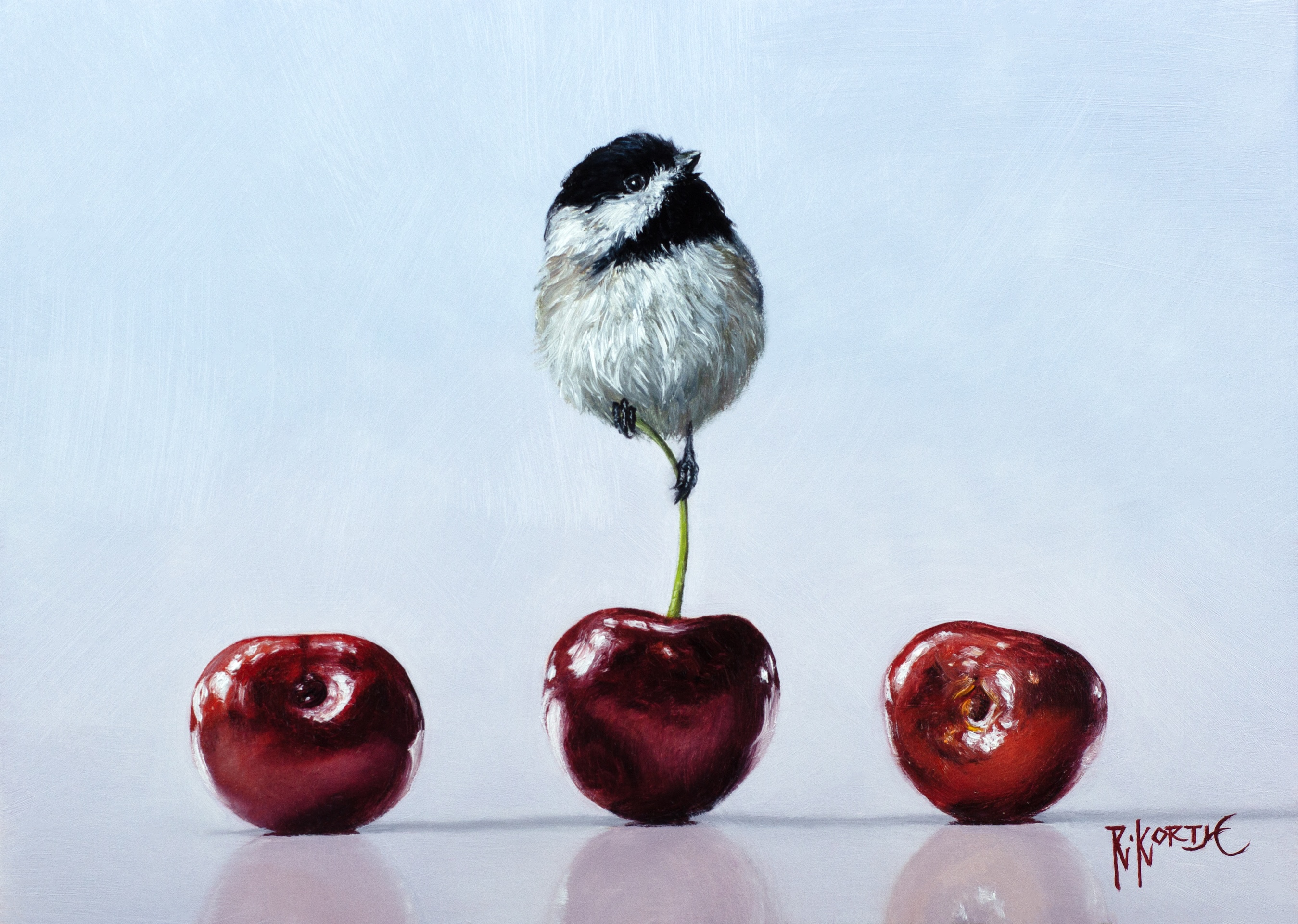 Image of Black-capped & Cherries by Rebecca Korth