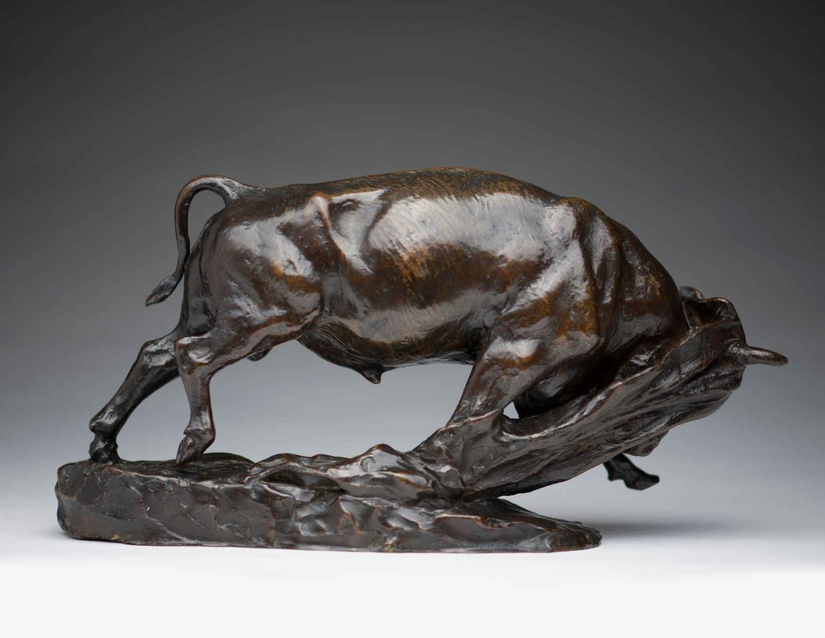 Bull by  Anna Vaughn Hyatt Huntington - Masterpiece Online