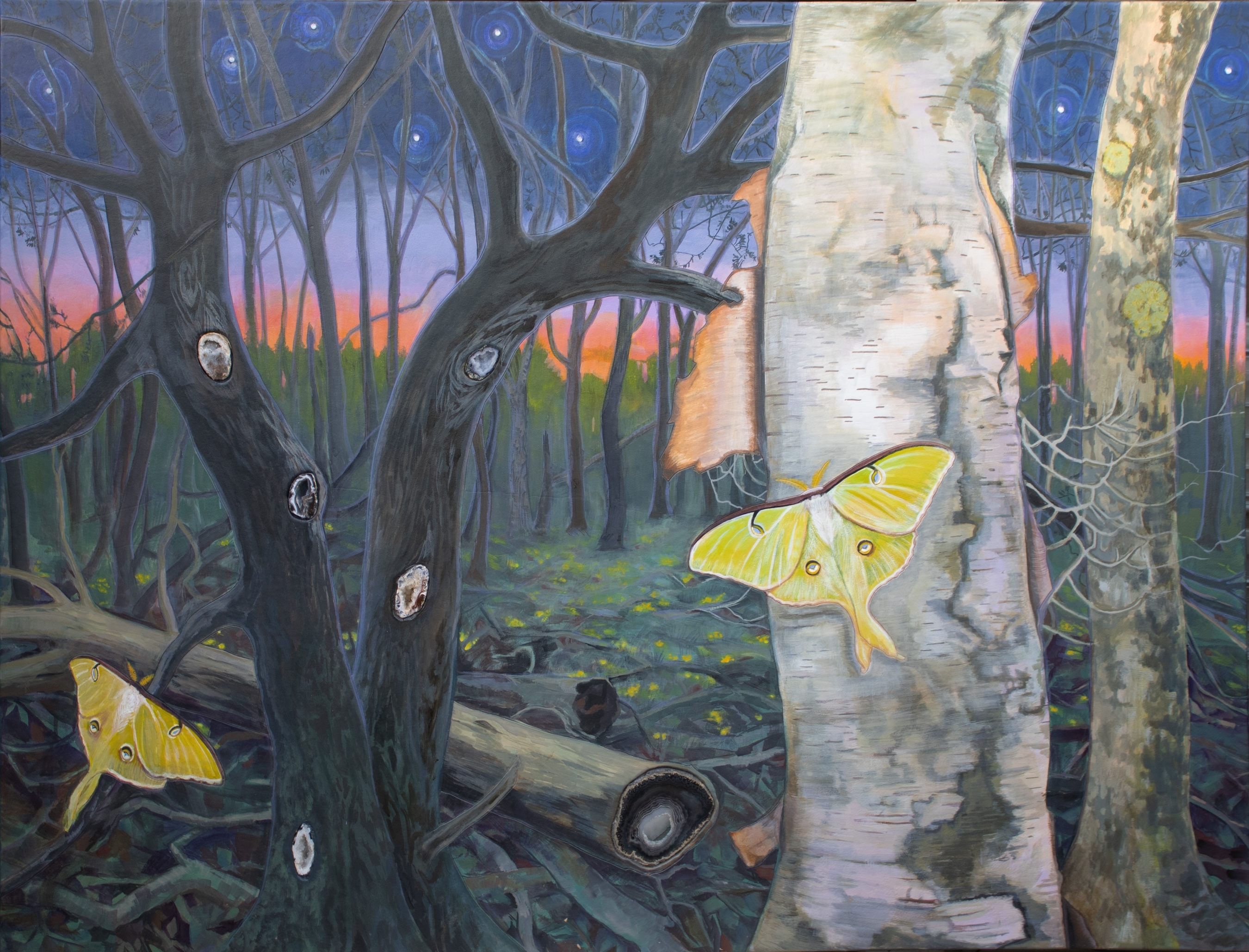 Image of Maple Ridge Trail by Mary Ellen Sisulak