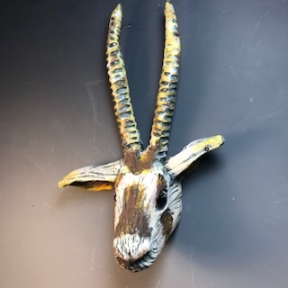 Image 1 for Gemsbok Gemsbok