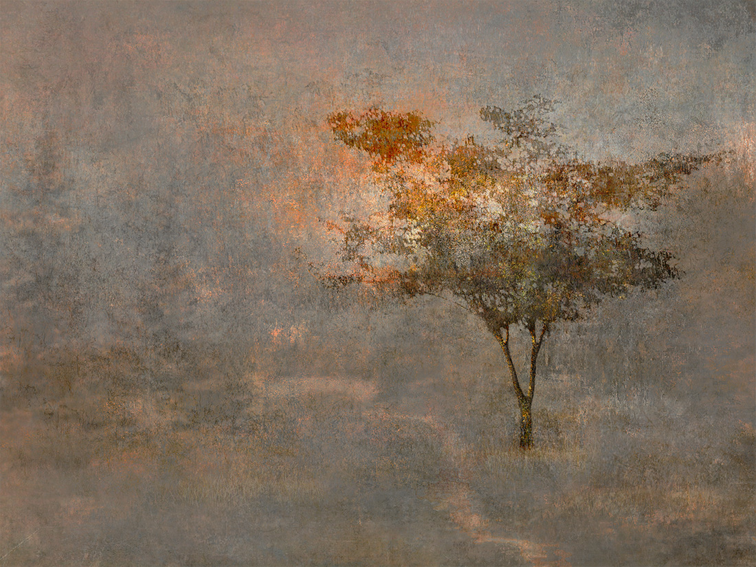 Image of Morning Light II, Unframed, Edition of 10 by  Tilton + Oeler