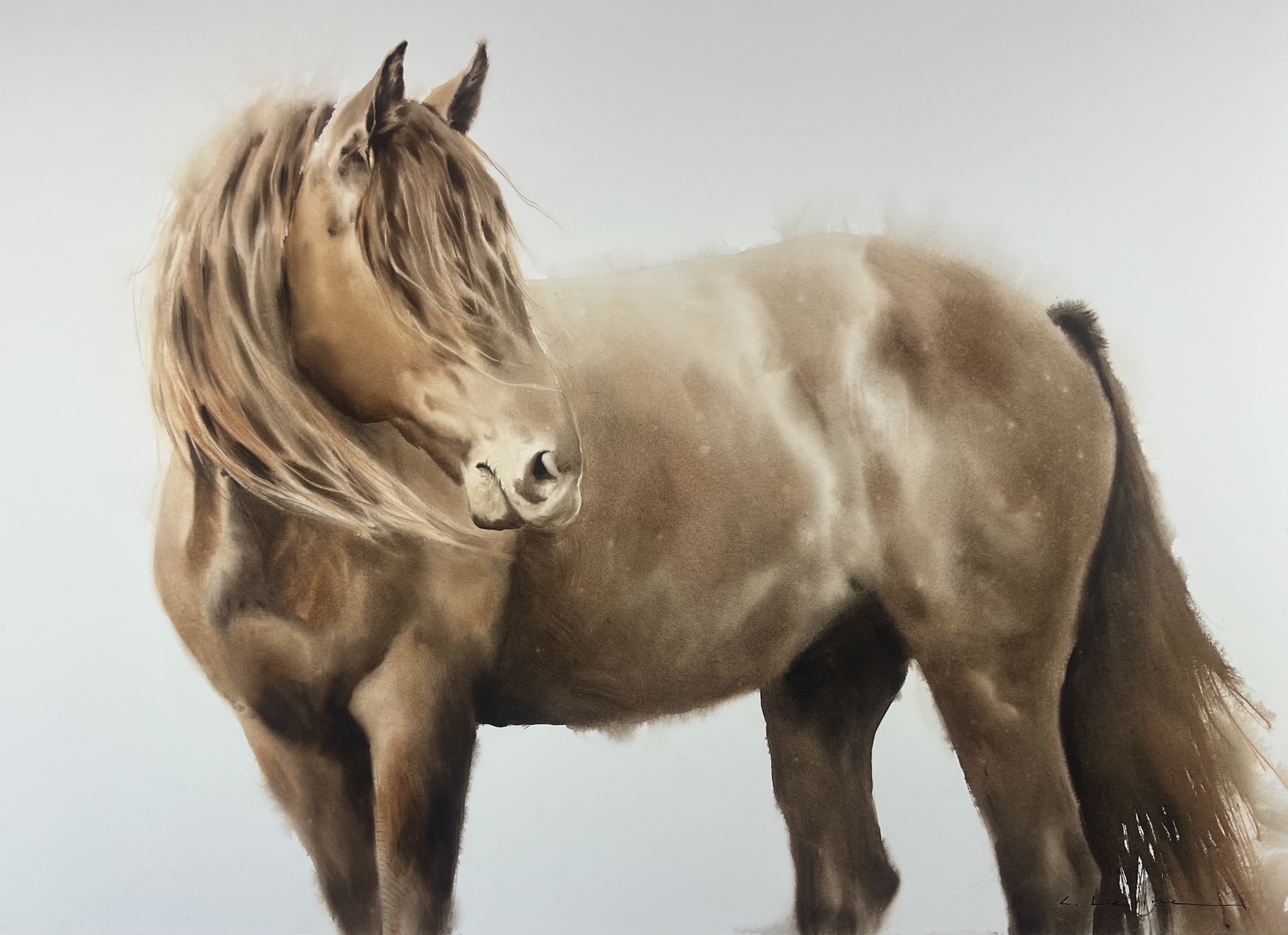 Image of Inspiration for Song by Caitlin Leline Hatch