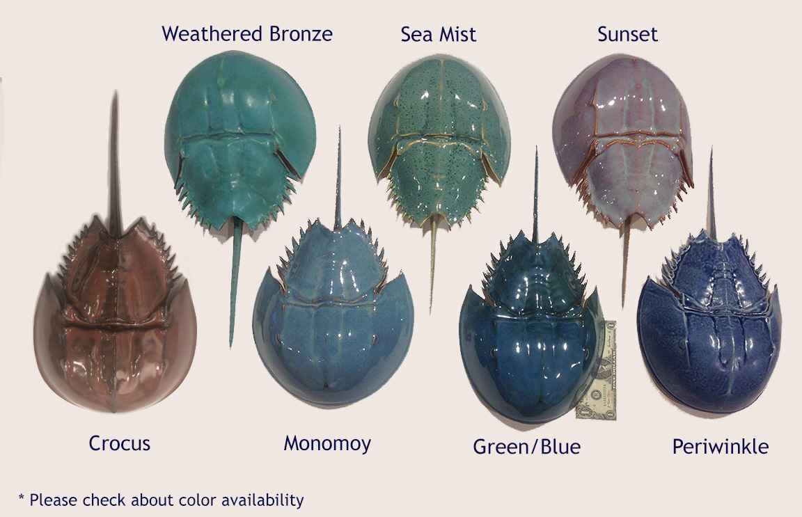 Ceramic 2018 Horseshoe Crab, Large by Mark Rea North Water Gallery