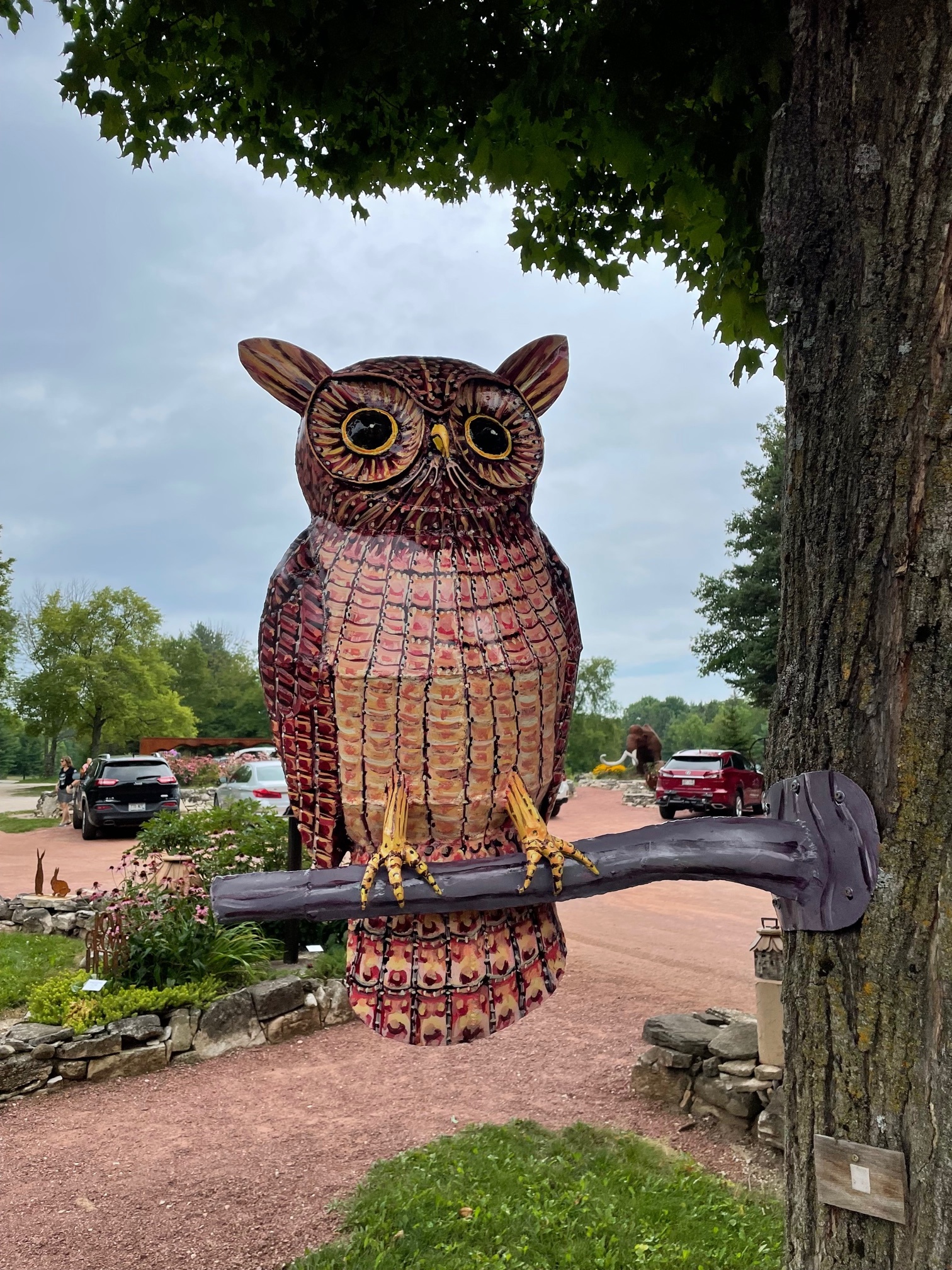 Bigger Owl on a Branch